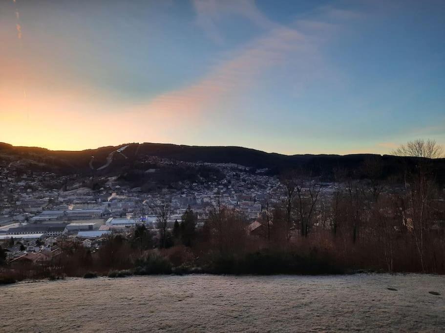 Appartement Residence Les Dryades Avec Vue Montagne Gérardmer Eksteriør bilde